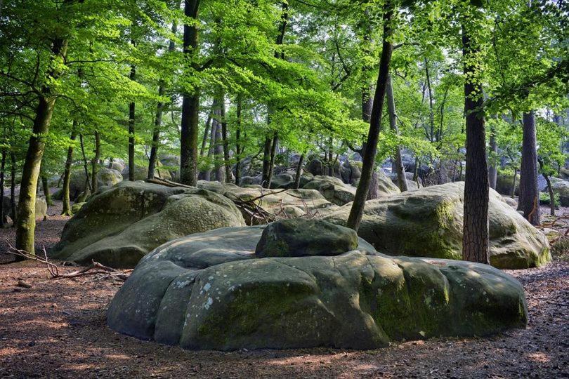 Maison De Charme En Foret De Fontainebleau Recloses Exteriör bild